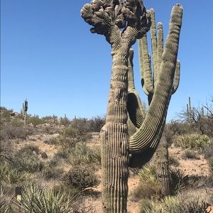 Meet your Posher, Lynn